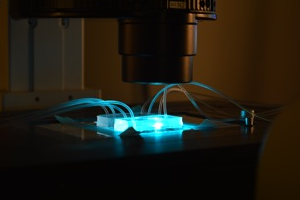 La millifluidique pour la biologie